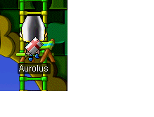 Bug.jpg